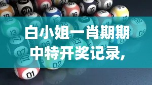 白小姐一肖期期中特开奖记录,全面执行计划_Holo1.554