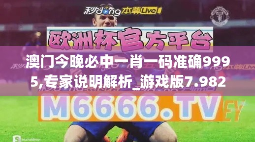 澳门今晚必中一肖一码准确9995,专家说明解析_游戏版7.982