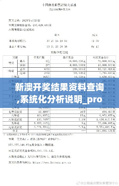 新澳开奖结果资料查询,系统化分析说明_pro10.418