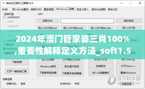 2024年澳门管家婆三肖100%,重要性解释定义方法_soft1.562