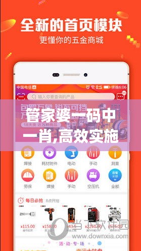 管家婆一码中一肖,高效实施策略设计_pro4.412