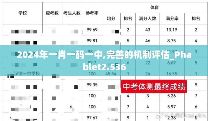 2024年一肖一码一中,完善的机制评估_Phablet2.536