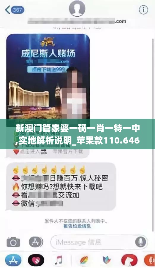 新澳门管家婆一码一肖一特一中,实地解析说明_苹果款110.646