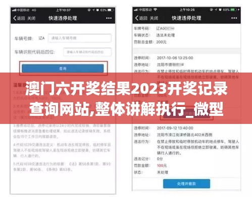 澳门六开奖结果2023开奖记录查询网站,整体讲解执行_微型版10.223