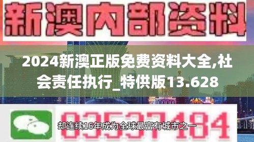 2024新澳正版免费资料大全,社会责任执行_特供版13.628