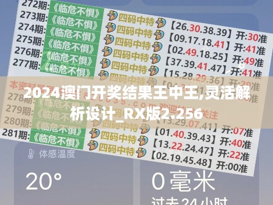 2024澳门开奖结果王中王,灵活解析设计_RX版2.256