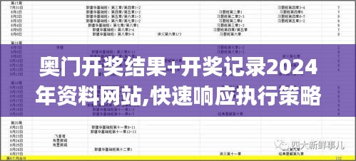 奥门开奖结果+开奖记录2024年资料网站,快速响应执行策略_8K1.566