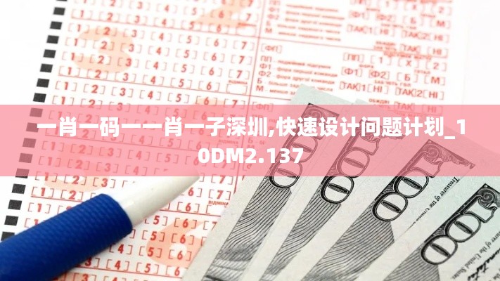 一肖一码一一肖一子深圳,快速设计问题计划_10DM2.137