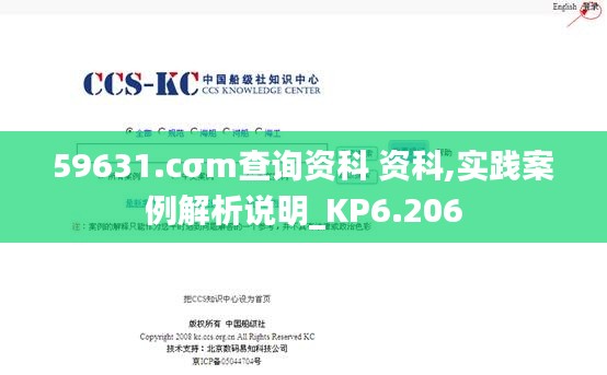 59631.cσm查询资科 资科,实践案例解析说明_KP6.206