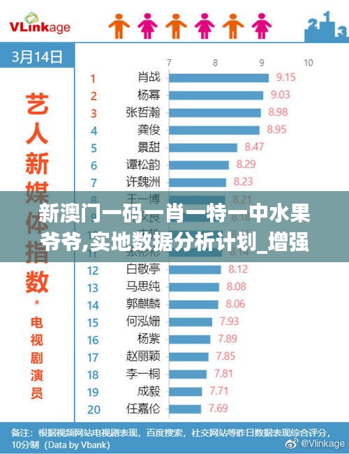 新澳门一码一肖一特一中水果爷爷,实地数据分析计划_增强版9.247