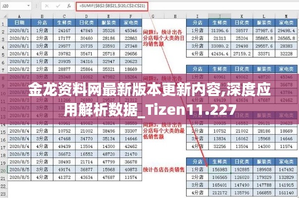 金龙资料网最新版本更新内容,深度应用解析数据_Tizen11.227