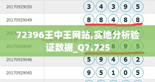 72396王中王网站,实地分析验证数据_Q7.725