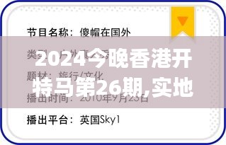 2024今晚香港开特马第26期,实地验证设计解析_Plus8.913