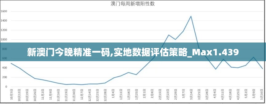 新澳门今晚精准一码,实地数据评估策略_Max1.439