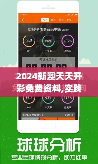 2024新澳天天开彩免费资料,实践说明解析_静态版4.739