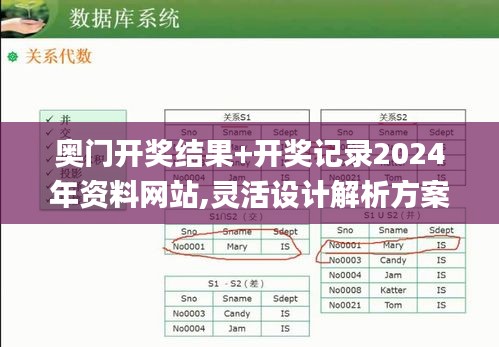 奥门开奖结果+开奖记录2024年资料网站,灵活设计解析方案_9DM1.352