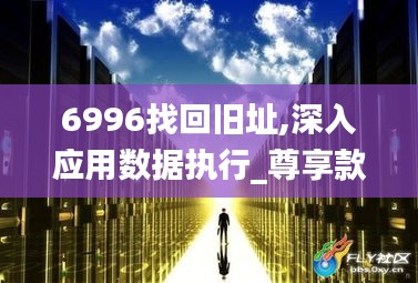 6996找回旧址,深入应用数据执行_尊享款6.762