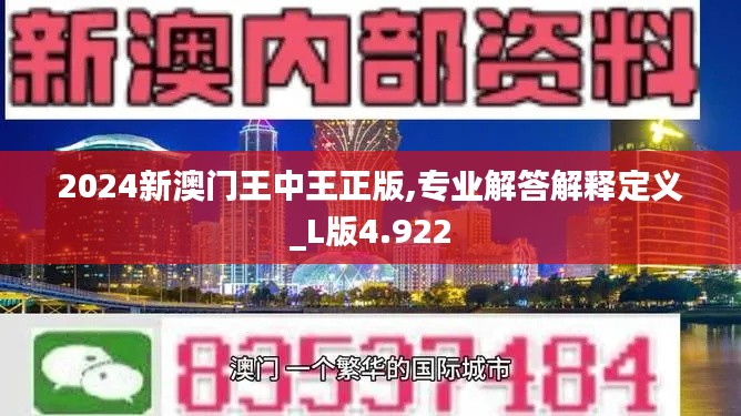 2024新澳门王中王正版,专业解答解释定义_L版4.922