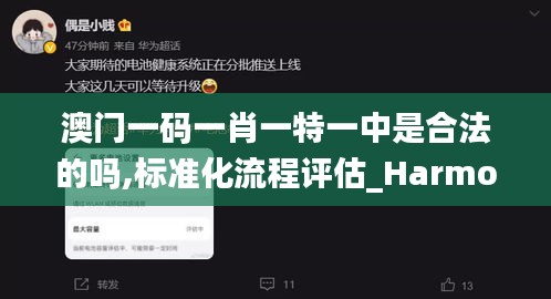 澳门一码一肖一特一中是合法的吗,标准化流程评估_Harmony7.404