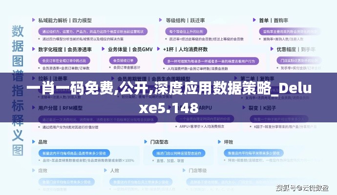 一肖一码免费,公开,深度应用数据策略_Deluxe5.148