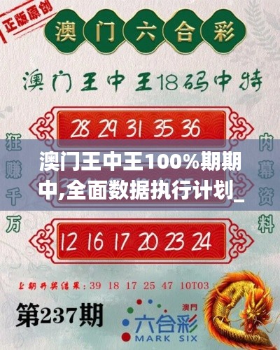 澳门王中王100%期期中,全面数据执行计划_eShop14.124