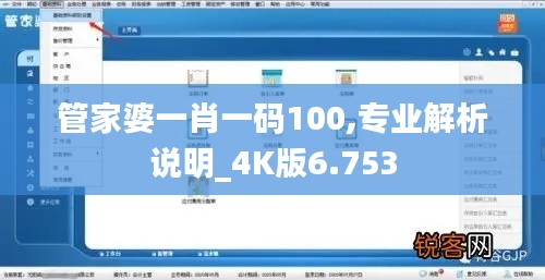 管家婆一肖一码100,专业解析说明_4K版6.753