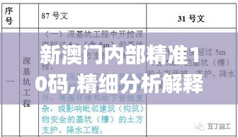 新澳门内部精准10码,精细分析解释定义_FT3.810