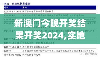 新澳门今晚开奖结果开奖2024,实地方案验证_精英款10.133