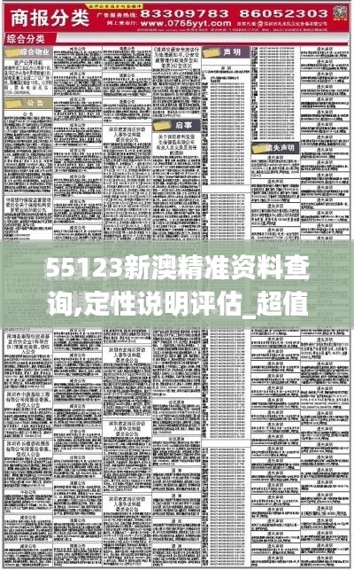 55123新澳精准资料查询,定性说明评估_超值版8.682