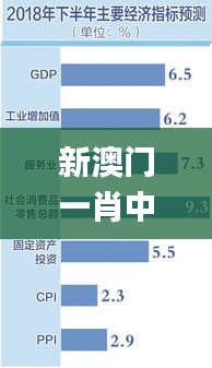 新澳门一肖中100,经济执行方案分析_Tizen18.578