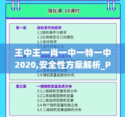 王中王一肖一中一特一中2020,安全性方案解析_Premium2.318