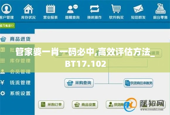 管家婆一肖一码必中,高效评估方法_BT17.102