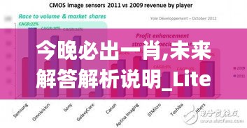 今晚必出一肖,未来解答解析说明_Lite8.860