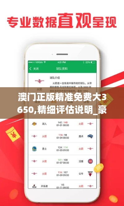 澳门正版精准免费大3650,精细评估说明_豪华版2.460