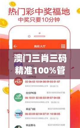 澳门三肖三码精准100%管家婆,实践验证解释定义_7DM7.579