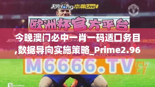 今晚澳门必中一肖一码适囗务目,数据导向实施策略_Prime2.962