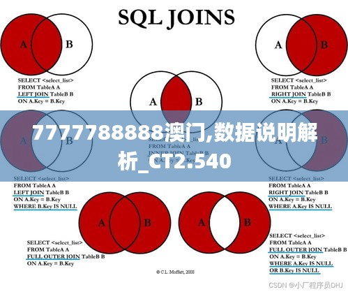 7777788888澳门,数据说明解析_CT2.540