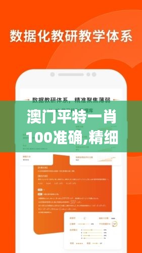 澳门平特一肖100准确,精细计划化执行_钱包版10.857