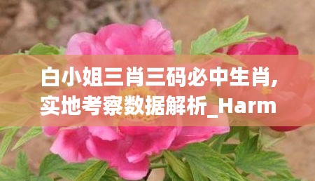 白小姐三肖三码必中生肖,实地考察数据解析_Harmony款1.609