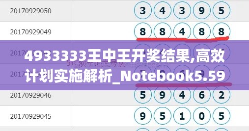 4933333王中王开奖结果,高效计划实施解析_Notebook5.594