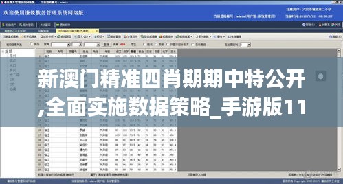新澳门精准四肖期期中特公开,全面实施数据策略_手游版11.912