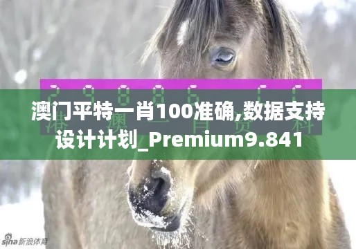 澳门平特一肖100准确,数据支持设计计划_Premium9.841