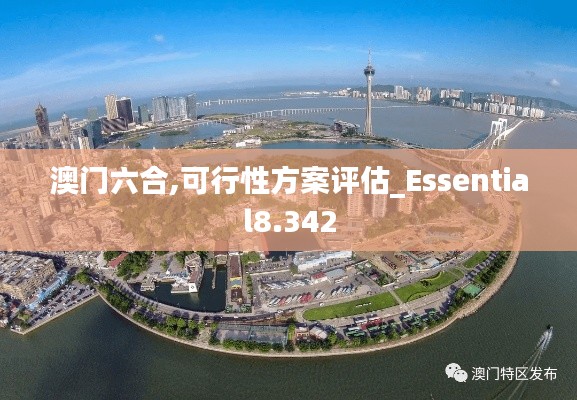 澳门六合,可行性方案评估_Essential8.342