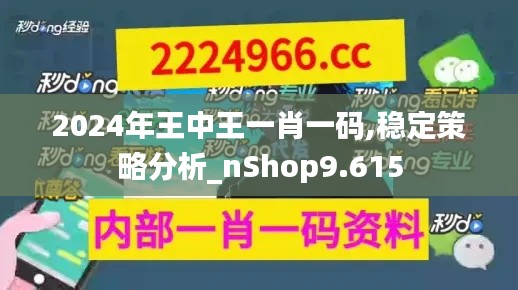 2024年王中王一肖一码,稳定策略分析_nShop9.615