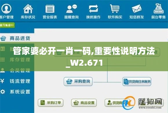 管家婆必开一肖一码,重要性说明方法_W2.671