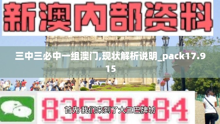 三中三必中一组澳门,现状解析说明_pack17.915