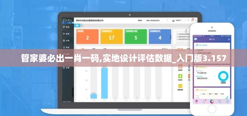 管家婆必出一肖一码,实地设计评估数据_入门版3.157
