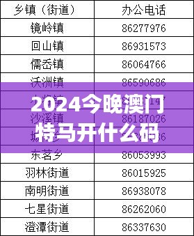 2024今晚澳门特马开什么码,适用性计划实施_RemixOS5.860