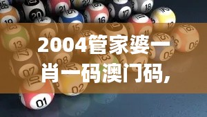 2004管家婆一肖一码澳门码,定性评估解析_精英款1.581