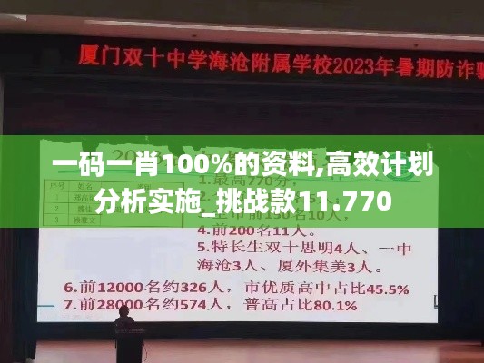 一码一肖100%的资料,高效计划分析实施_挑战款11.770